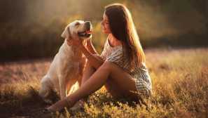 6 Начина да печелите пари на вашия домашен любимец